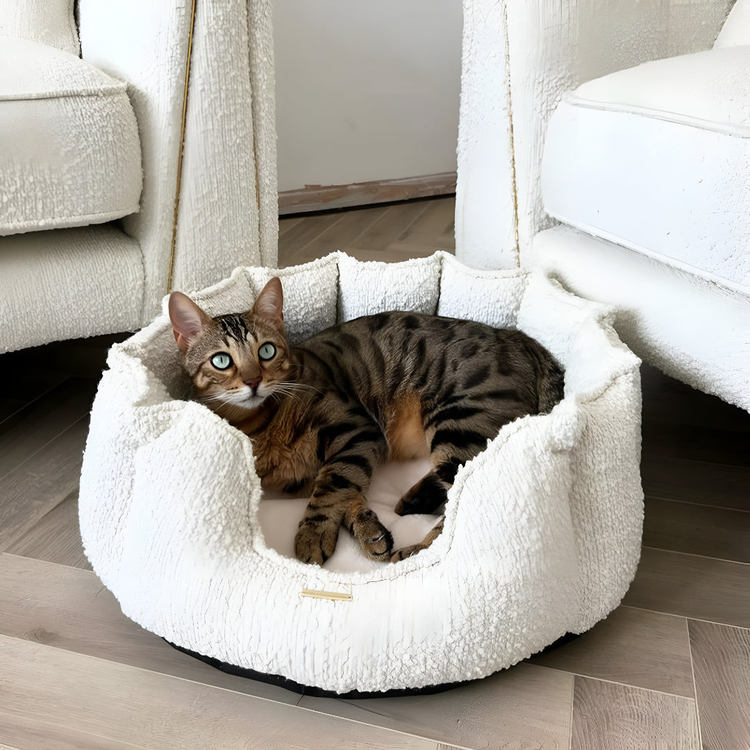 Choosing The Perfect Pet Bed